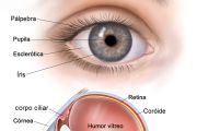 Com que olhos você vê o mundo?