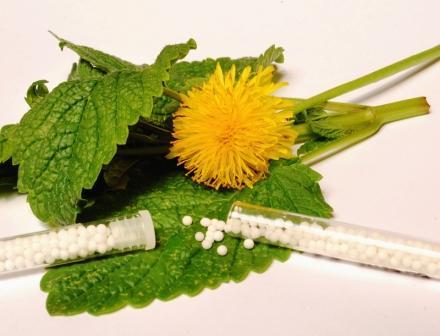 homeohomeopatia
