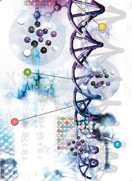 ortomolecular